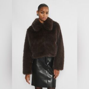 Aritzia Ten The Odette Coat